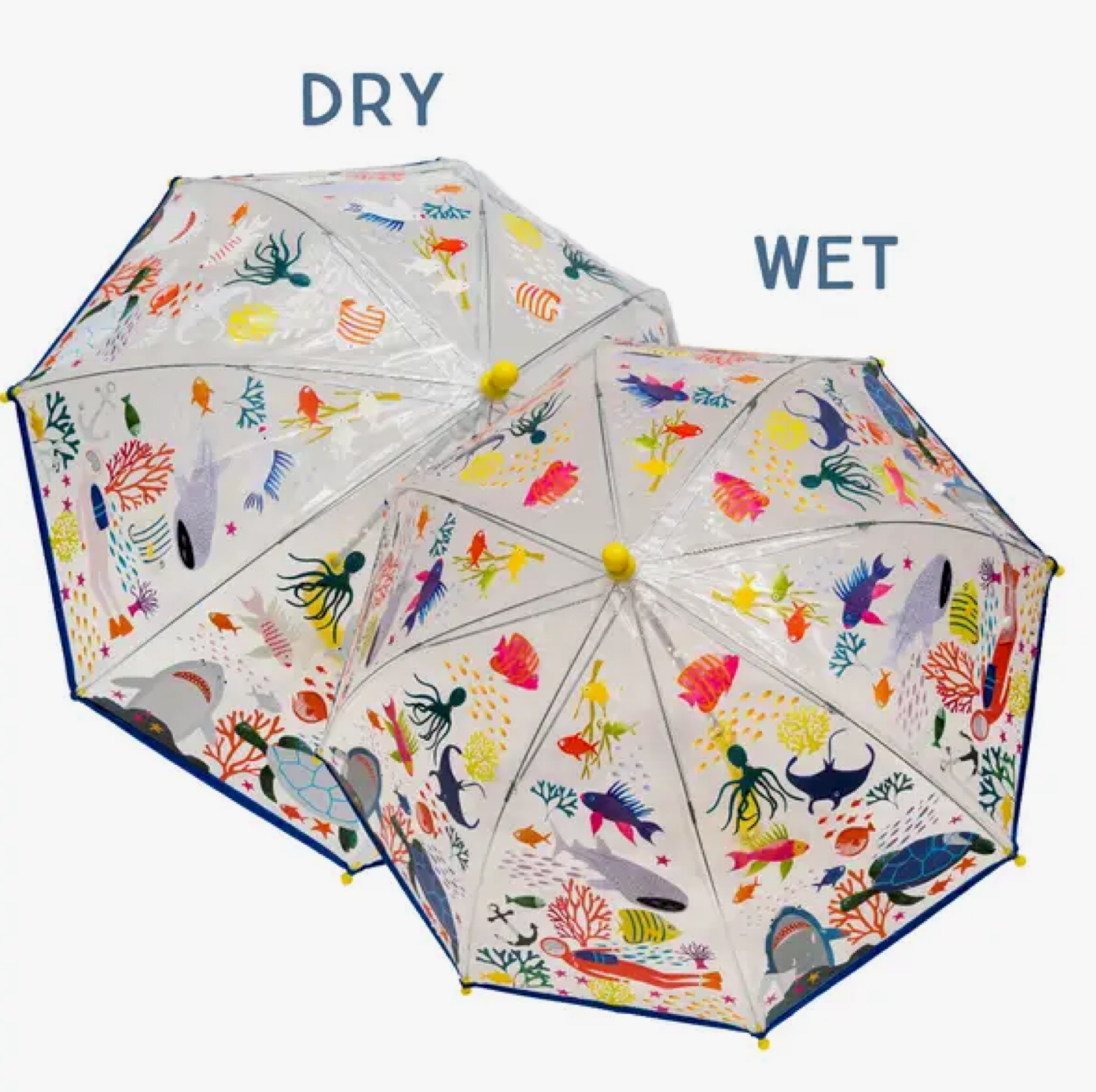 Color Changing Transparent Umbrella: Deep Sea