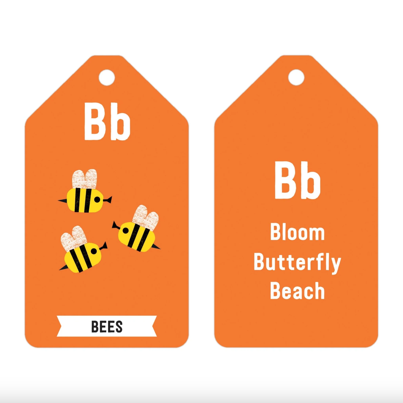 ABC of the Earth Ring Flash Cards