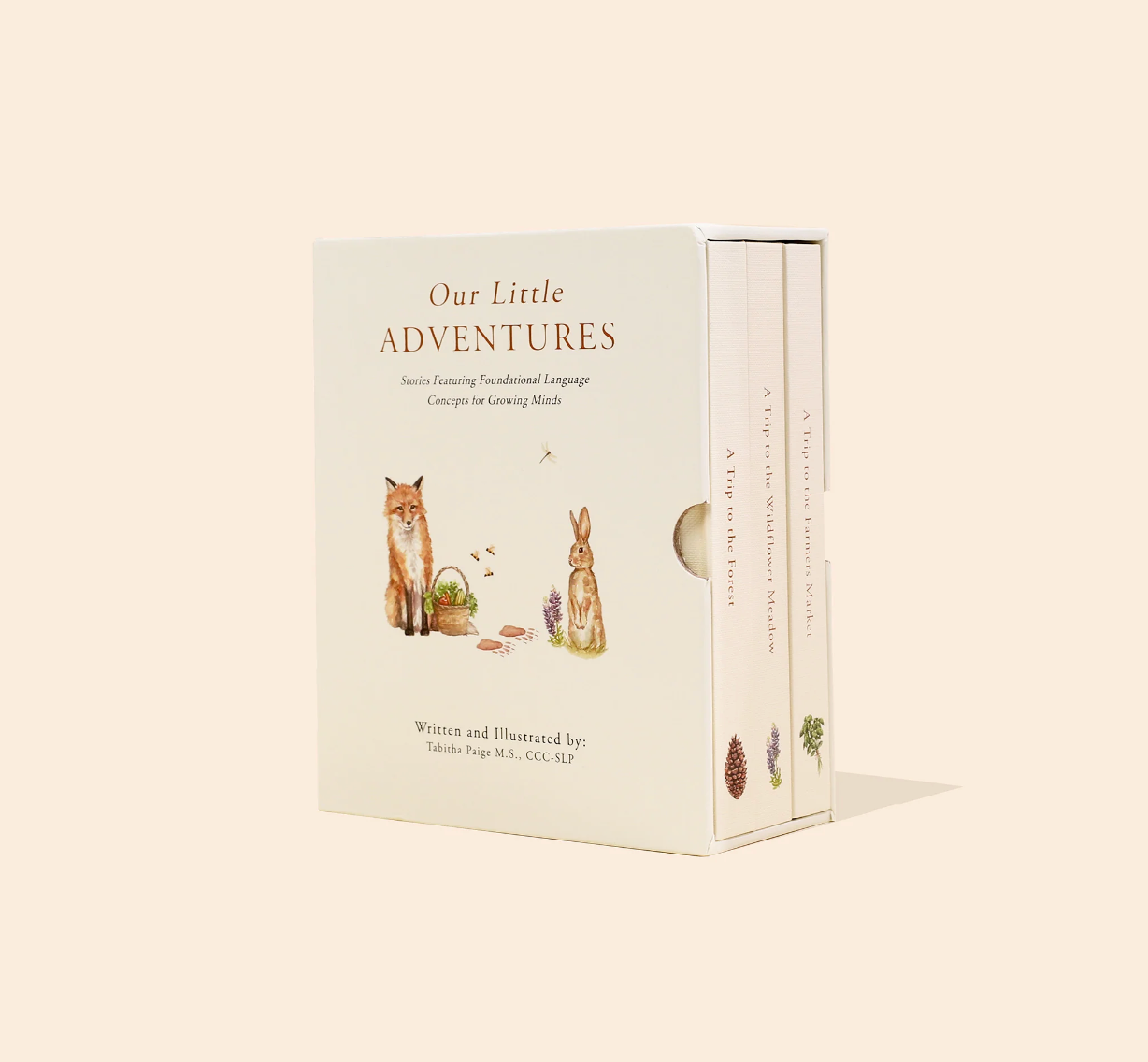 Our Little Adventures: Foundational Language Stories