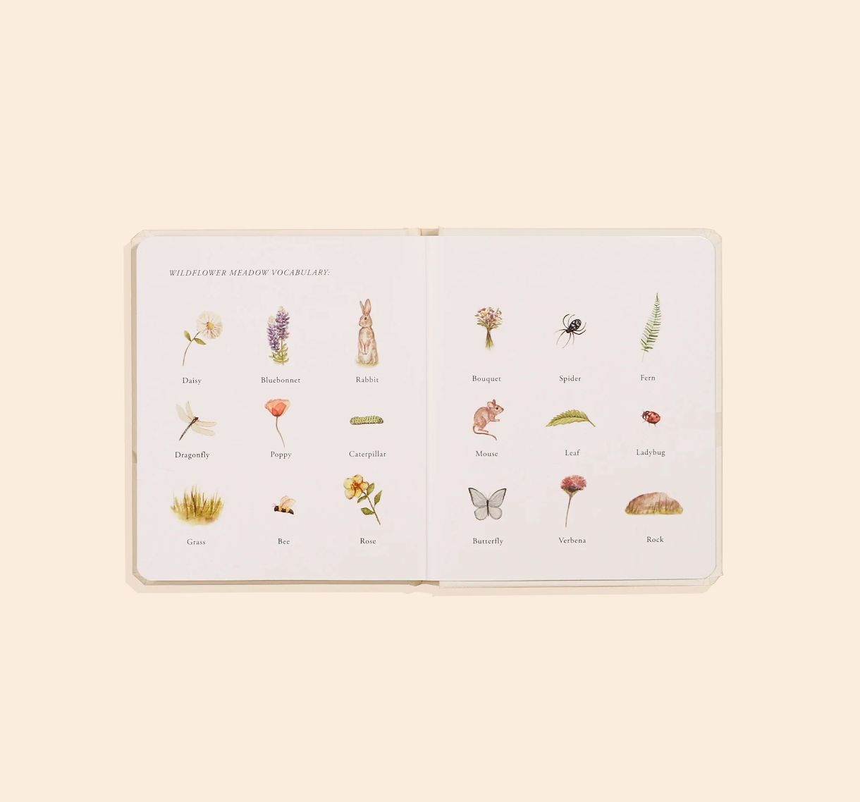 Our Little Adventures: Foundational Language Stories