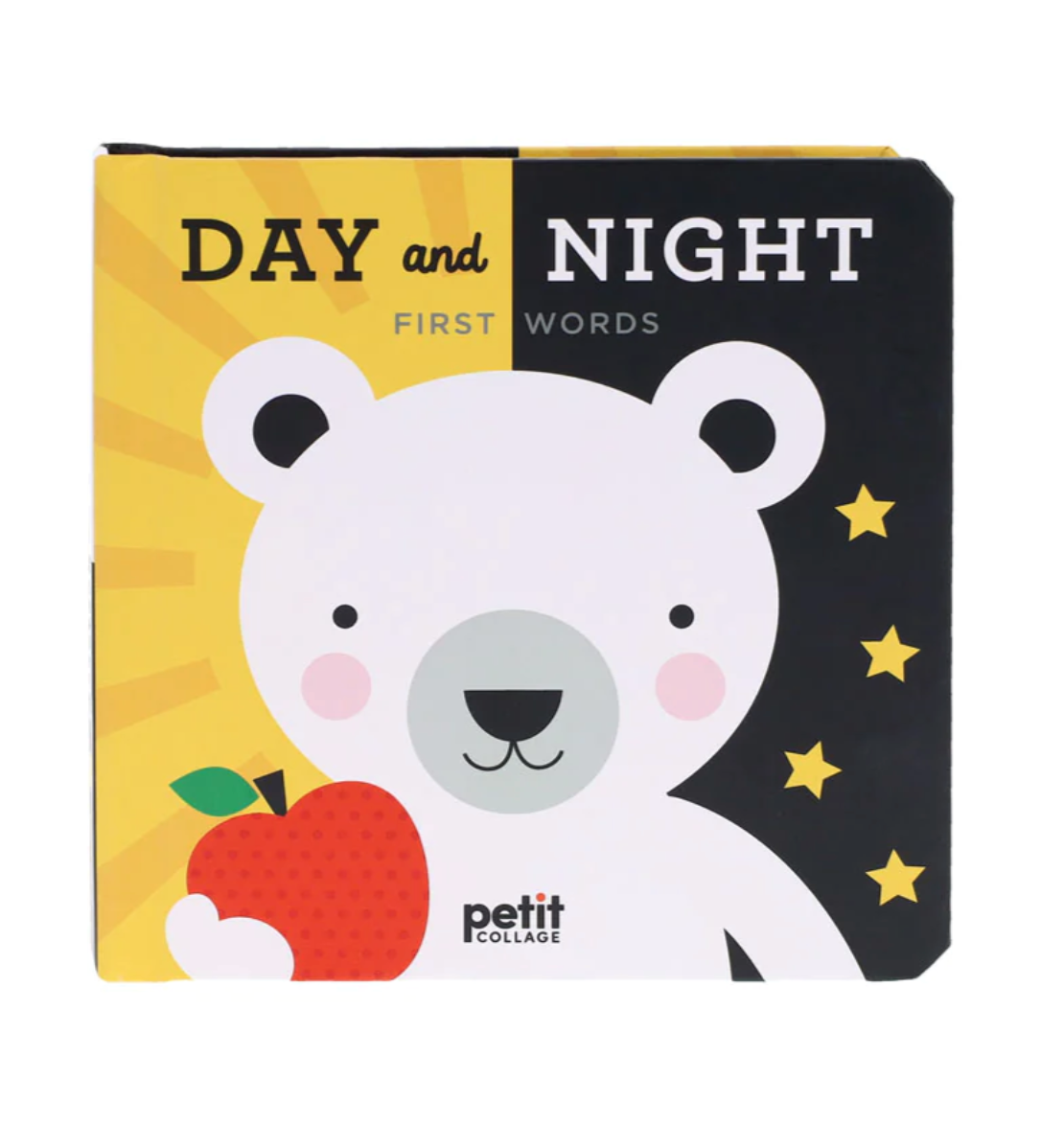 Day and Night: First Words Accordion Book