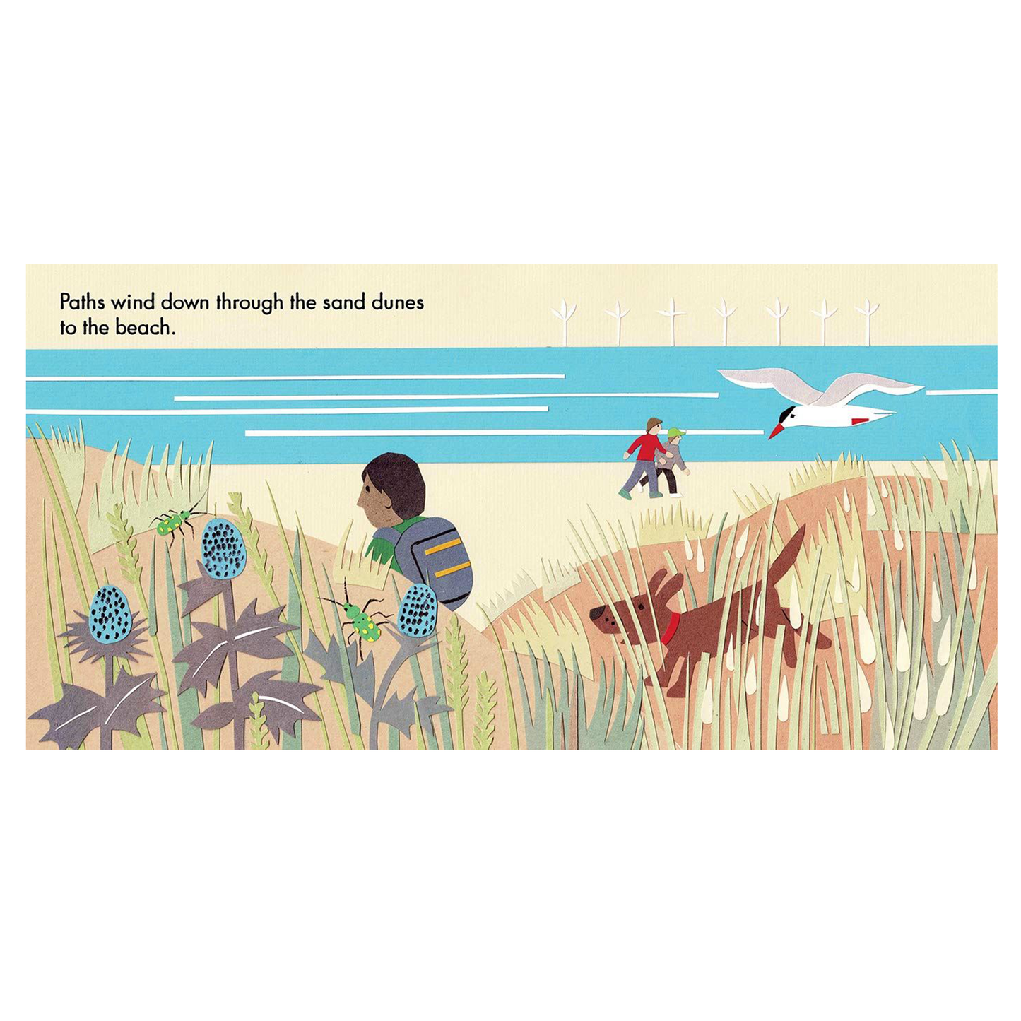 Little Observers: At The Beach Board Book