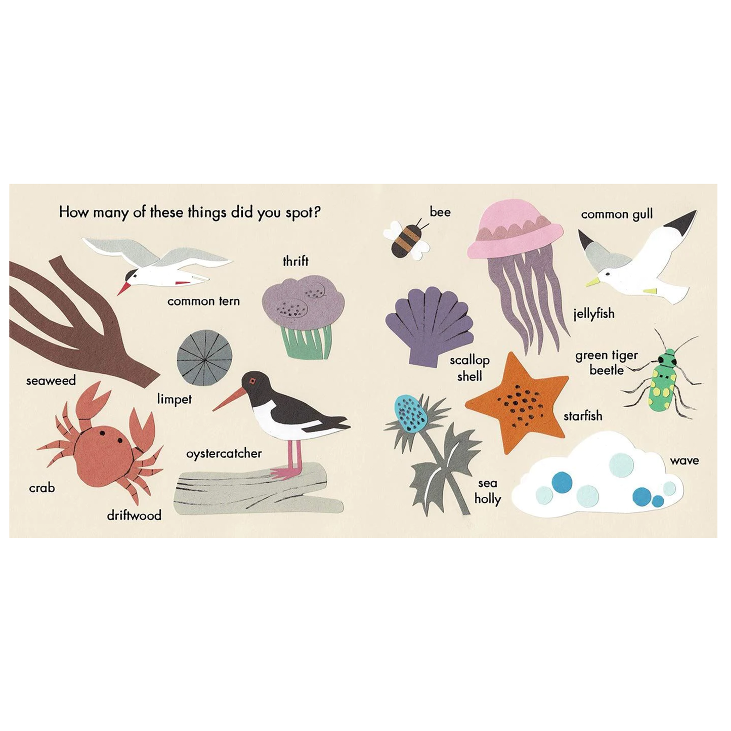 Little Observers: At The Beach Board Book