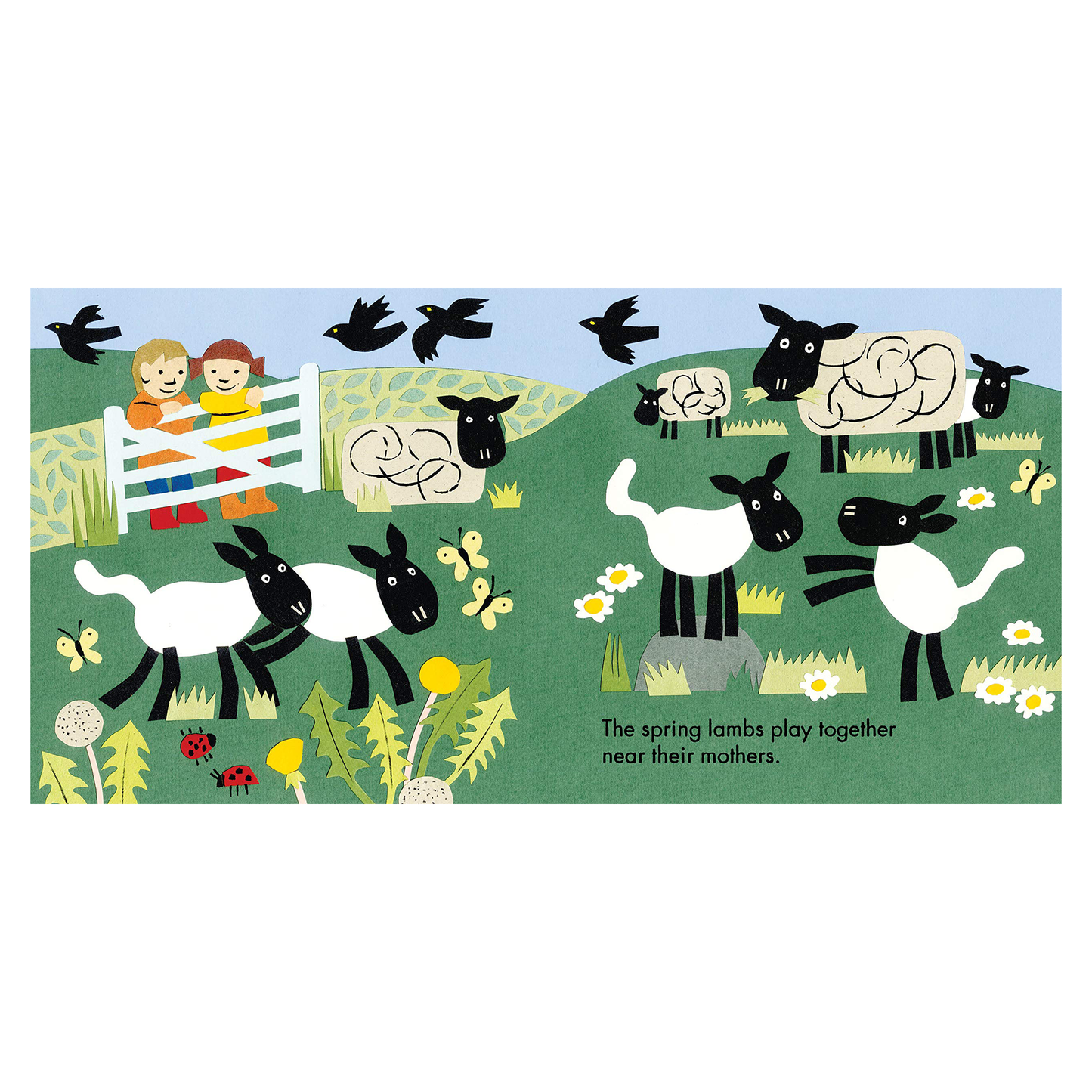 Little Observers: On The Farm Board Book