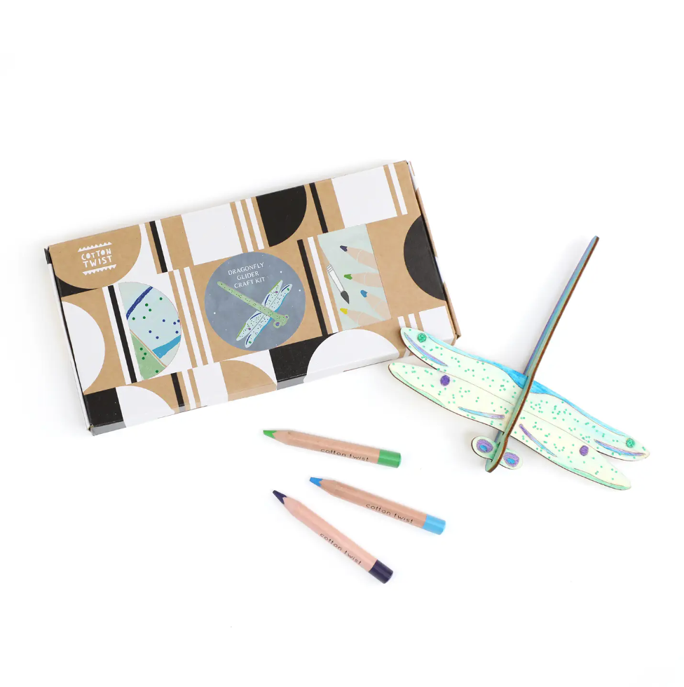Make Your Own Dragonfly Craft Kit