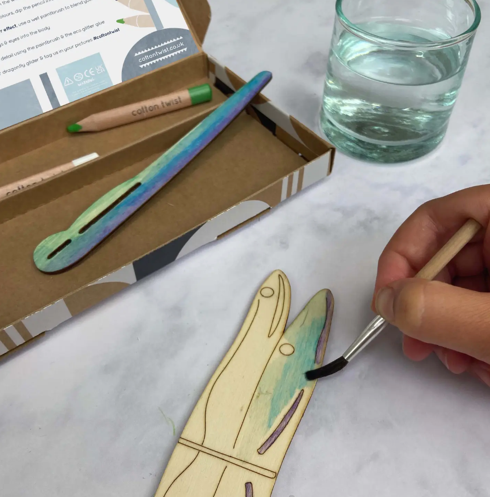 Make Your Own Dragonfly Craft Kit