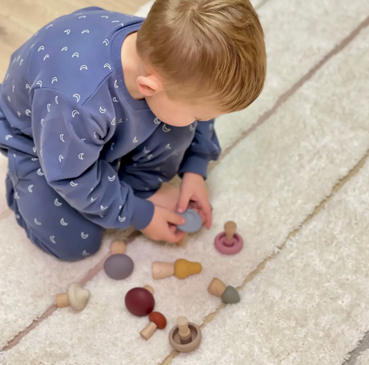 Wood + Silicone Mushroom Sorting Set