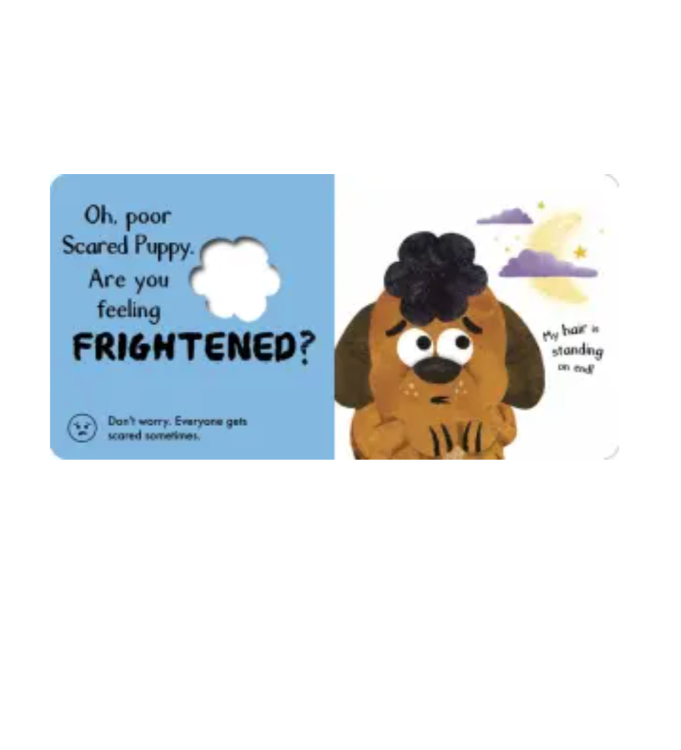 Touch & Feelings: Scared Puppy Book