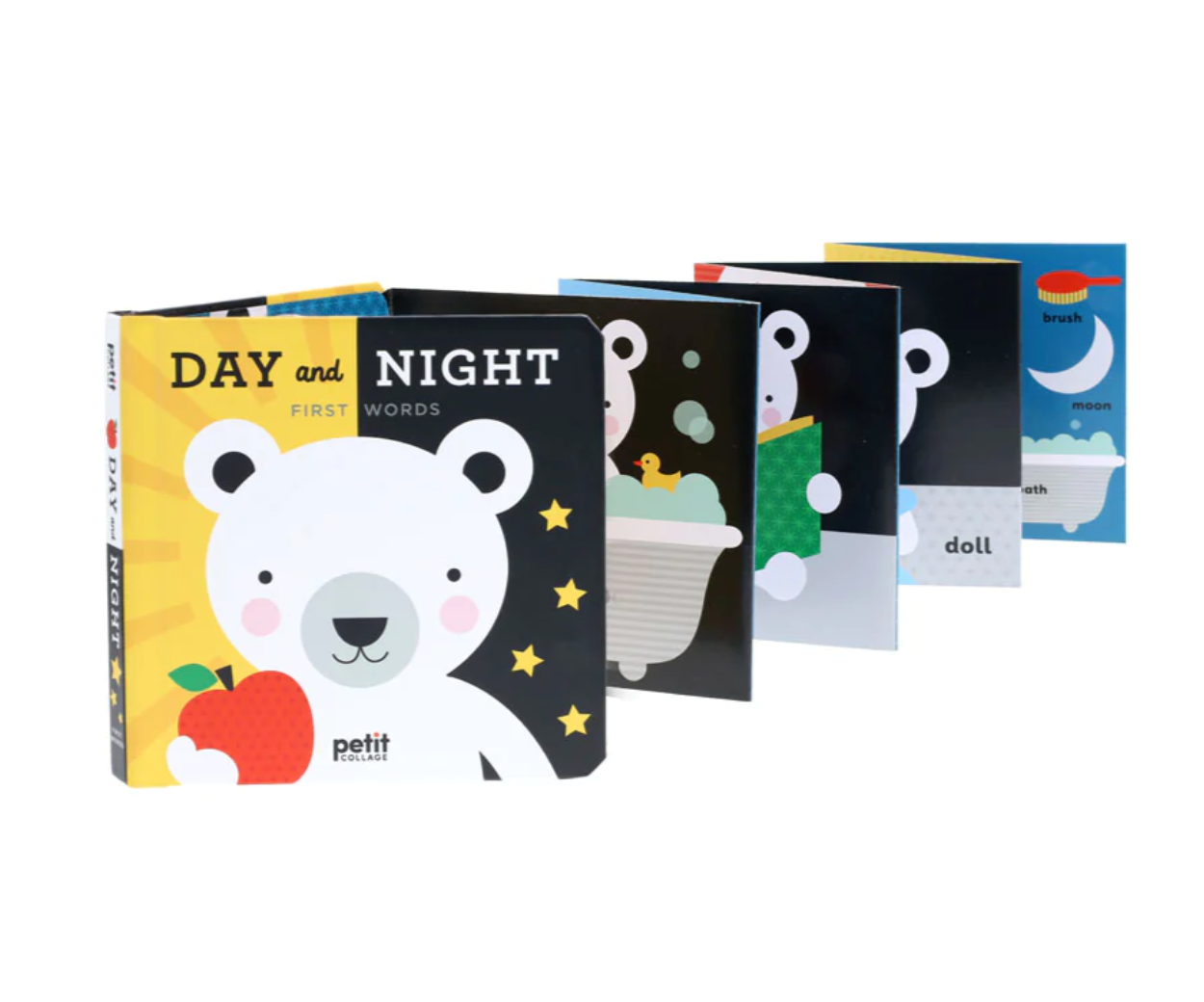 Day and Night: First Words Accordion Book