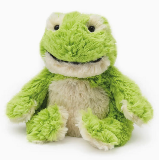 Mini Weighted Plush Frog Toy