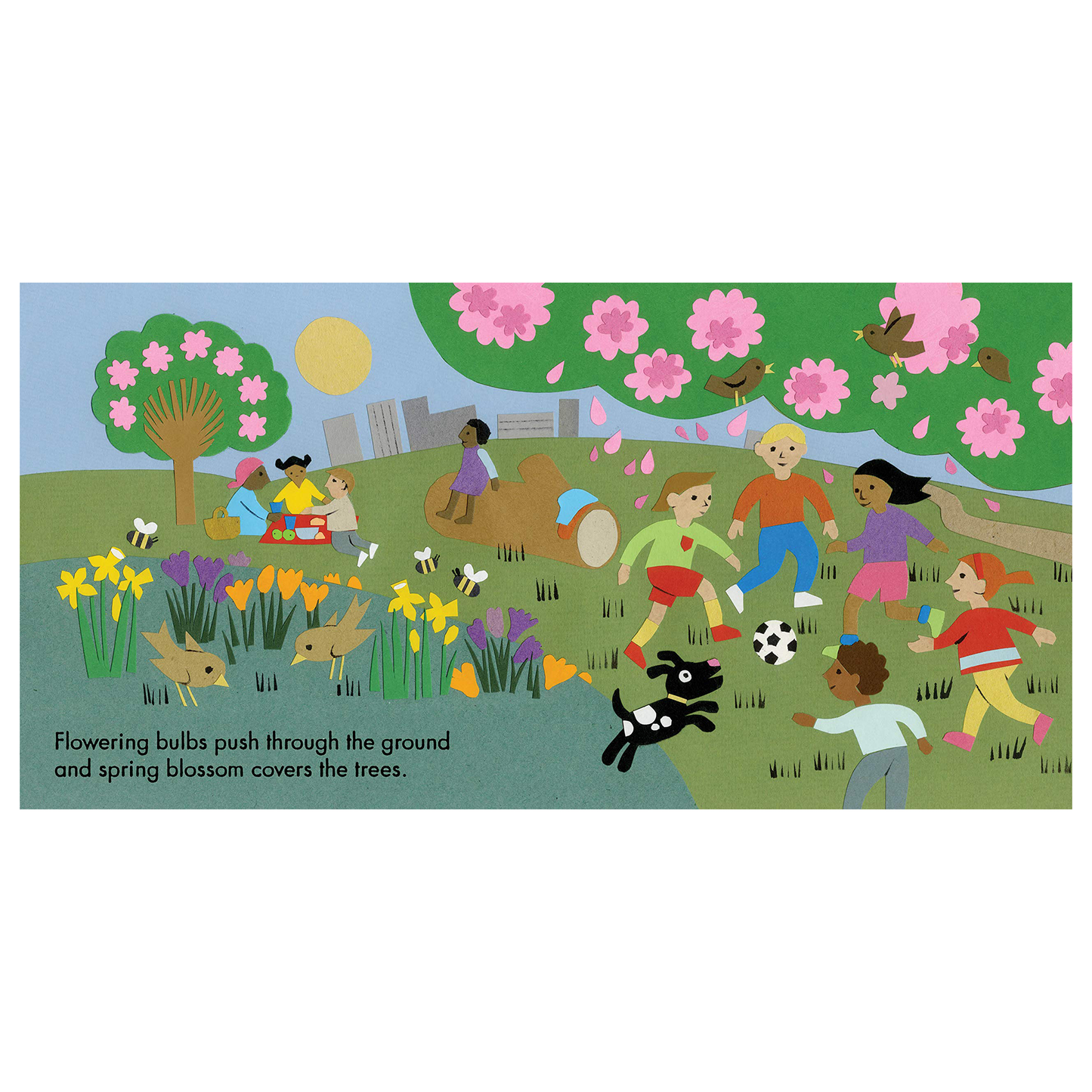 Little Observers: In The Park Board Book