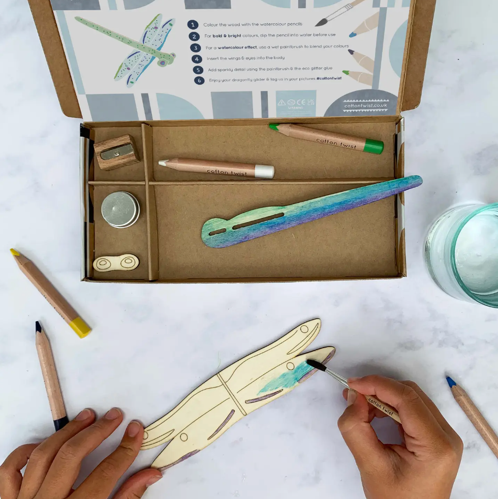 Make Your Own Dragonfly Craft Kit