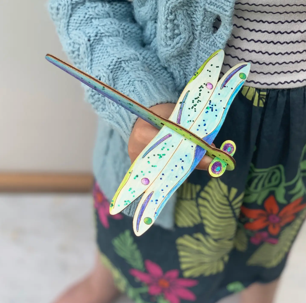 Make Your Own Dragonfly Craft Kit